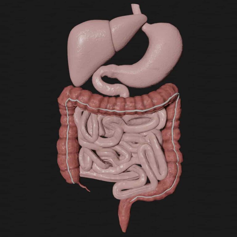 Gastroenterology- A Complete Course